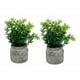 thumbnail image 2 of Set 2 Plantas Artificiales Arbusto Follaje Rústico Jhn, 2 of 3