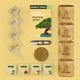thumbnail image 4 of Kit de inicio para bonsáis Planters' Choice con 4 tipos de semillas, 4 of 9
