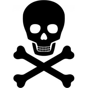 Rienda Libre Graphics - Decomural Skull And Crossbones Pirate Ws-16125