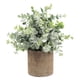 thumbnail image 5 of Planta Suculenta Artificial Falsa En Maceta Mini Plantas En Maceta Decoración De Jardín Para El Hogar Eucalipto, 5 of 5