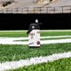 thumbnail image 3 of Botella infantil con logo de Mississippi State Bulldogs 355 ml, 3 of 4