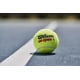 thumbnail image 4 of Pelotas de tenis WILSON US Open Extra Duty, 3 pelotas, lata individual, 4 of 5