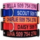 thumbnail image 1 of Collar para perro GoTags bordado personalizado con nombre y teléfono, 1 of 9