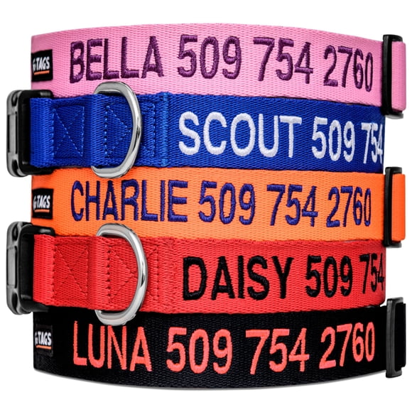 Collar para perro GoTags bordado personalizado con nombre y teléfono