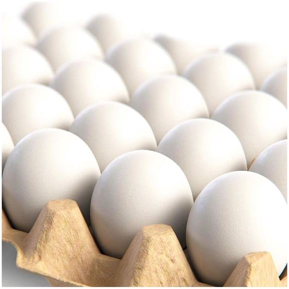 Huevos de Pascua falsos CALPALMY, 24 piezas, hiperrealistas, blancos