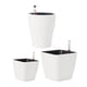 thumbnail image 3 of 3 Uds Macetas De Riego Automático Solución De Agua Automática Para Plantas Bonsái, 3 of 5
