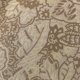 thumbnail image 4 of Cojín decorativo Plutus Brands Plutus mostaza jacquard marrón 50 x 50 cm, 4 of 9