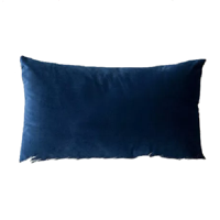 Genérico - Pack De 2 Fundas Terciopelo Liso 30X50 Cm Azul