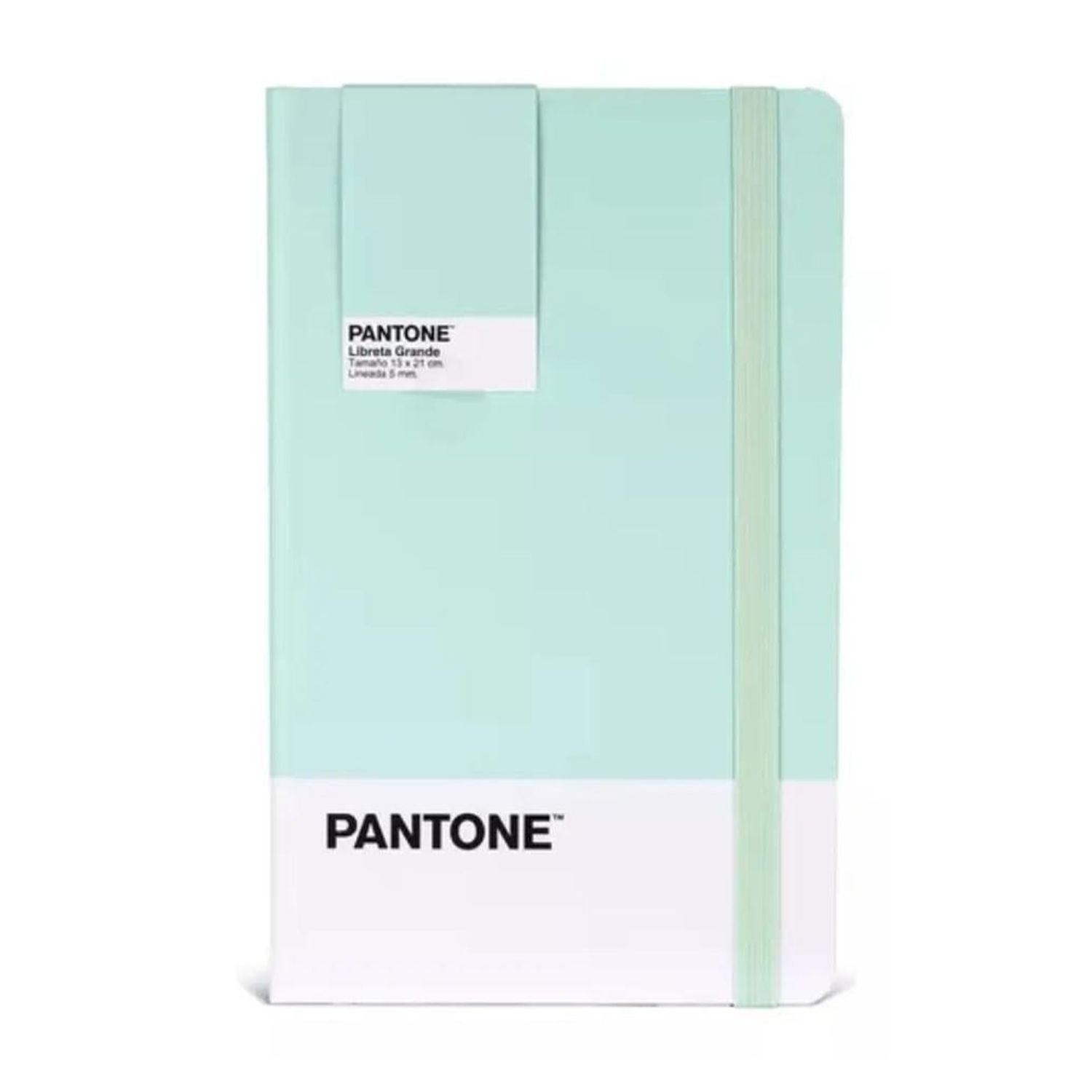 Genérico - Libreta Grande 21x13cm Con Elastico. Pantone Verde Claro