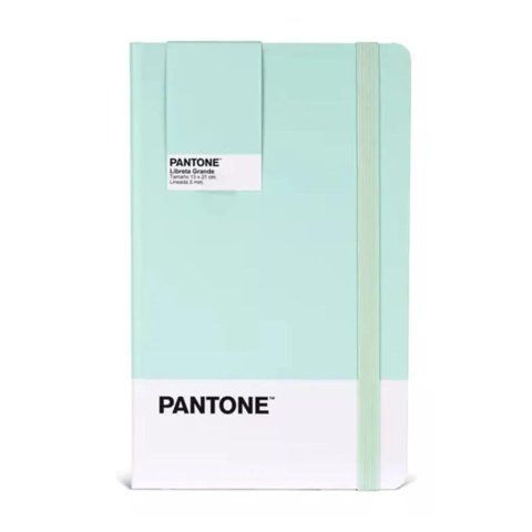 Genérico - Libreta Grande 21X13Cm Con Elastico. Pantone Verde Claro