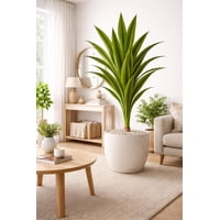 Arbusto Real - Drácaena Artificial Grande 160 Cm Planta Decorativa Interior