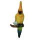 thumbnail image 1 of Simulación de loro pájaro escultura, pared B, 1 of 5