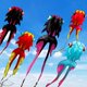thumbnail image 5 of Kite Catch&Hunt, 43 pies, grande, para adultos, pez dorado 3D, rosa y negro, 5 of 6