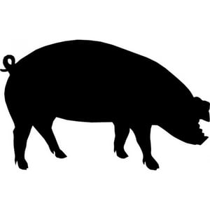 Rienda Libre Graphics - Decomural Pig Farm Animals Pack Ws-33068