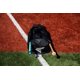 thumbnail image 4 of Bolsa de viaje Easton E310D para equipo de béisbol/sóftbol negra, 4 of 4