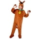 thumbnail image 1 of Disfraz Rubies Scooby‑Doo para niño – Talla mediana, 1 of 7