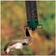 thumbnail image 2 of Comedero para pájaros Squirrel-Prode, comedero colgante para pájaros silvestres Squirrel Prode para exteriores (pequeño), 2 of 7