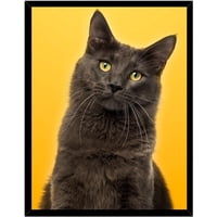 Genérico - Cuadro Decorativo Gato Negro Medidas 30X40 Cm