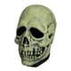 thumbnail image 2 of Máscara de disfraz Trick Or Treat Studios Glowin Ghoulies Skull, 2 of 5