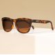 thumbnail image 5 of Gafas de sol goodr Bosley's Basset Hound Polarizadas Marrones, 5 of 6