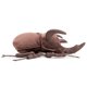 thumbnail image 3 of Peluche de peluche fabricado por ZHONGXIN, simulación Atlas Beetle, 26 cm, 3 of 6