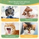 thumbnail image 5 of Juguetes de hierba gatera, juguetes para gatos de interior, juguetes de almohada para gatos, juguetes para gatitos., 5 of 7