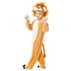 thumbnail image 2 of Disfraz de Rey León para niños de Dress Up America con mameluco y capucha, 2 of 6