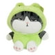 thumbnail image 1 of Juguete Peluche Gato Emperador Disfraz Rana Kawaii 40cm Infantil, 1 of 3