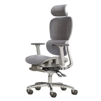 Crusec - Silla Oficina Élite Ergonómica Soporte Lumbar Cervical Ajustable - Gris