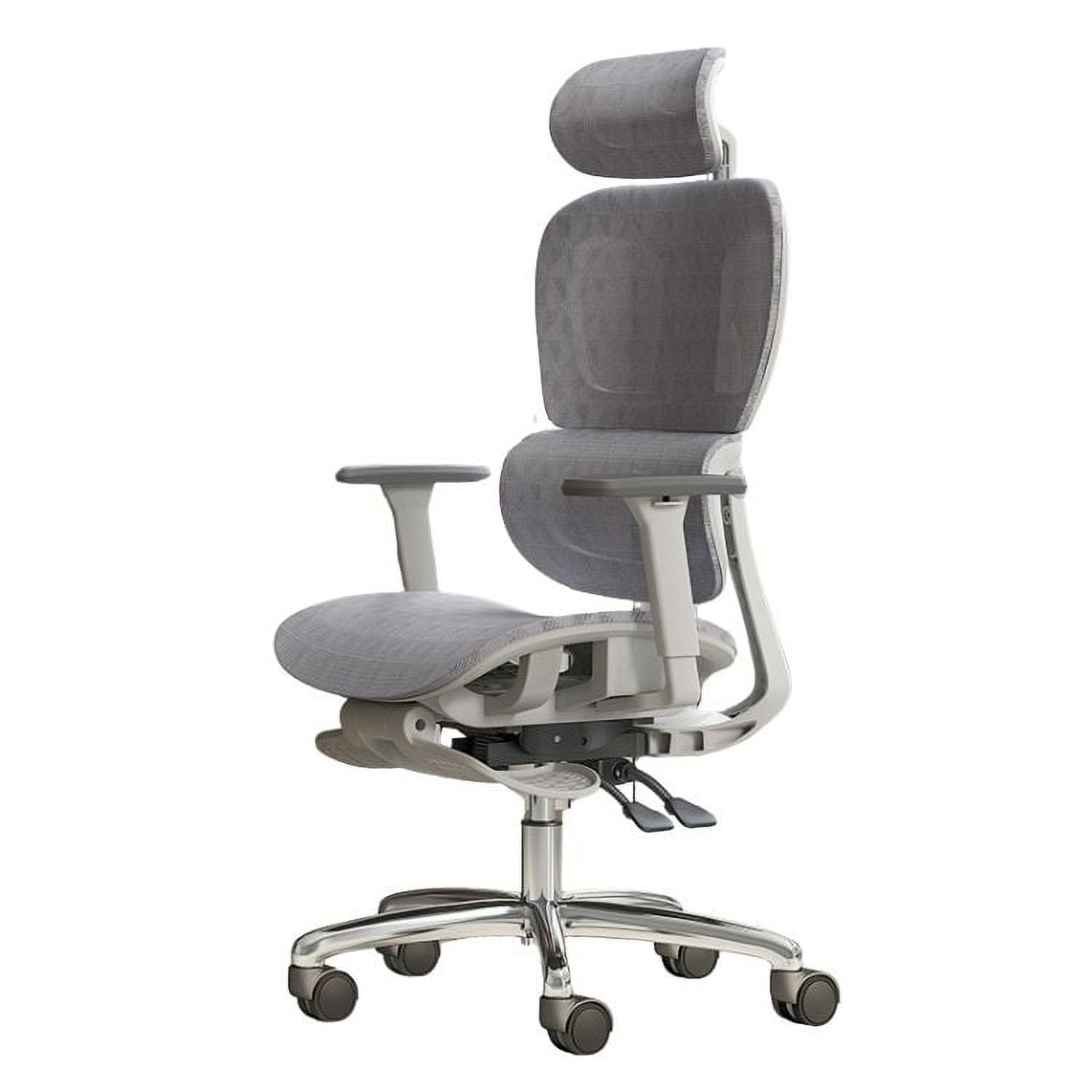 Crusec - Silla Oficina Élite Ergonómica Soporte Lumbar Cervical Ajustable - Gris