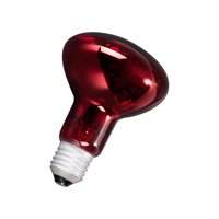 Ioensy - Lámpara De Calefacción Para Reptiles, Fuente De Calentador, Base E27, Bombilla De Luces De Calor Para Mascotas Para Tortuga