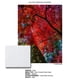 thumbnail image 2 of Papel fotográfico ILFORD Galerie Satin de 4 x 6 pulgadas (100 hojas), 260 g/m², 2 of 4