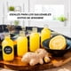 thumbnail image 5 of Pack 12 Botellas de Cristal con Tapa Mini Frascos de Vidrio 60ml Botellitas de Cristal Pequeñas Jengibre shots, 5 of 7