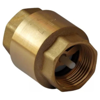 Taumm - Válvula Retención Vertical Check 1 Pulgada