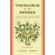 thumbnail image 1 of Tesauro De Los Sentidos, 1 of 1