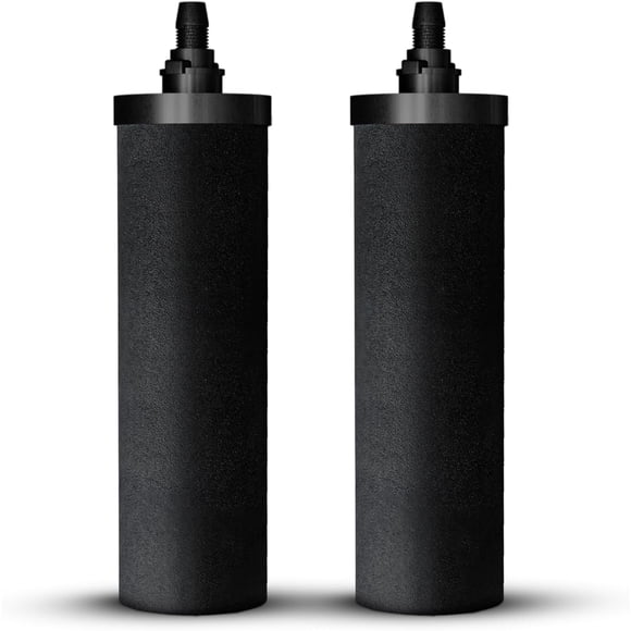 Elementos de filtro de carbono PHOENIX GRAVITY, paquete de 2