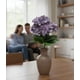 thumbnail image 3 of Ramo Decorativo Artificial Hortensias Adorno Floral Jhn, 3 of 3