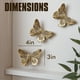 thumbnail image 2 of Decoración de Pared Mariposa 3D GUSFREUD de Resina, 2 of 3
