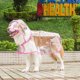 thumbnail image 1 of Xiao Hua Impermeable, a Prueba de Viento, Impermeable con Capucha para Perro Adecuado para Perros Pequeños, Medianos y Grandes, Impermeable Transparente de Plástico a la Moda para Mascota, Tamaño, 1 of 4