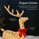 thumbnail image 2 of Set Christmas Deer Family Best Choice Products de 4 pies con 175 LED, 2 of 3