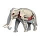 thumbnail image 1 of Modelo De Cuerpo Animal Para El Aprendizaje, Material Didáctico Para Niños Que Estudian En Casa (3109), 1 of 5