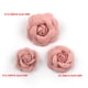 thumbnail image 1 of Xiao Hua Rosa Intenso Bricolaje Brote de Flor de Camelia Accesorios para el Cabello 10Pzas-2.17 inch Accesorios de Brote de Flor Decoración, Accesorios de Pasador para el Cabello de Boda Bricolaje,, 1 of 3