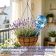 thumbnail image 2 of Globos de riego para plantas MOONSOUND 12 piezas, PVC resistente, 25 cm, 2 of 7
