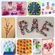 thumbnail image 5 of Bolas de pompones Craft Adeweave 300 multicolores con caja reutilizable, 5 of 6