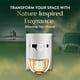 thumbnail image 3 of Recambio de aceite perfumado Air Wick Plug In, salvia blanca y caoba, 3 of 7
