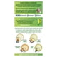 thumbnail image 4 of Coloración Nutrisse Cabello Ultra Cobertura 81 Rubio Claro Cenizo Profundo, 4 of 7