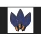 thumbnail image 1 of Bombilla Holiday Bright Lights C7, azul, 5 cm, paquete de 25 unidades, 120 V, 1 of 1