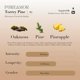 thumbnail image 3 of Perfume PUREAMOR Torrey Pine 12 ml Aroma Amaderado, 3 of 9