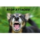 thumbnail image 2 of Air Horn Safety-Sport Dog Horn XL, 2 of 3