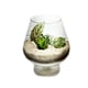 thumbnail image 2 of Sand Natural Decorative Real, 1 kg, para manualidades, decoración o jarrón, 2 of 9